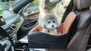Dog Booster Car Seat for Dogs,6in Memory Foam Elevated Cushion,Fully Detachable and Washable