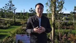 Plantinfluencer Darryl Cheng over de voordelen voor siertelers van werken met influencers