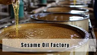 The Process of Making Sesame Oil