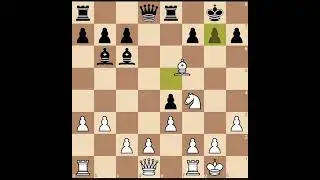 Sundaychesstv- Finnish chess player 1-0 #chess #covua #nguyenthehoan #Quick #checkmate