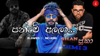Pandam Alla ( පන්දම් අල්ලා )  - Shan putha & Dimi3  |  Rap   song / Slowed & Reverb  |  Saji Beats
