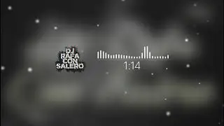 Dj Rafa Con Salero / (