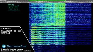 The Buzzer | 22nd August 2024 | Voice Message