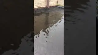 Наш Луцьк public group 1