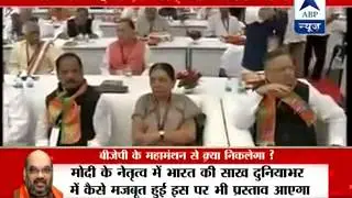 BJP National Executive meeting live from Bengaluru