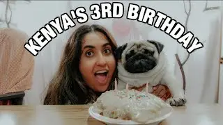 Throwing My Pug a Birthday Party 🐶