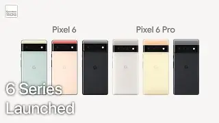 Google Launches Pixel 6, Pixel 6 Pro Phones Powered By Tensor Processor ! #shorts