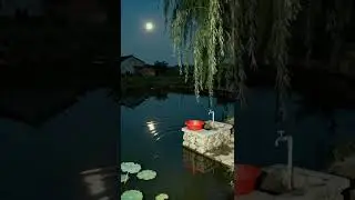 Moonlight Over the Village 🌙 #moonlight #night #village #nature #tranquil #relax #naturebeauty