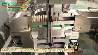 Secondary packing cake full automatic feeding & packing system | Collect and arrange system |Bagging