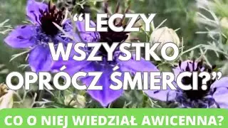 &bdquo;Leczy wszystko opr&oacute;cz śmierci&rdquo;. Co o niej wiedział Awicenna? Czarnuszka 