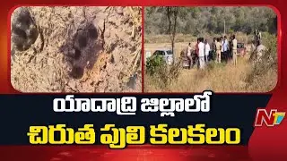 Leopard Spotted in Yadadri District, Villagers Panic | NTV Telugu
