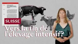 Faut-il abolir l’élevage intensif?