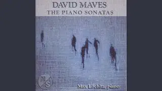 Piano Sonata No. 4: IV. Allegro agitato