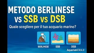 Come Scegliere tra Metodo Berlinese, SSB e DSB per il Tuo Acquario Marino