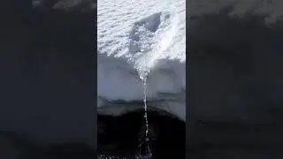 #funny  short story