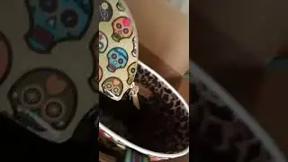 Consuela Sugar Skulls part 2