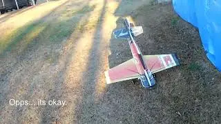 Twisted hobbies Edge 540 in yard
