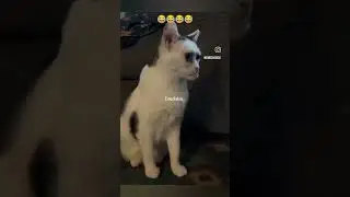 WTF Did I just watched.......😂..LIKE ❤️SHARE 🥺SAVE 🥺FOLLOW @emediabox for more