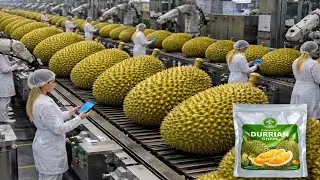 You Won’t Believe This Durian Becomes Crispy Chips | Inside the Modern Factory