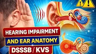 HEARING IMPAIRMENT AND EAR ANATOMY DSSSB KVS