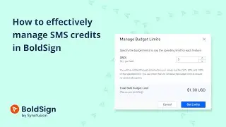 How to Effectively Manage SMS Credits in BoldSign