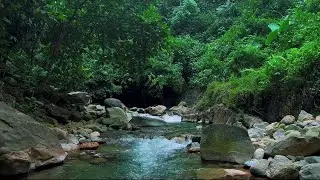 Mountain River Waterfall Flowing 24/7. Water Sounds, Nature White Noise. River Sounds for Sleeping