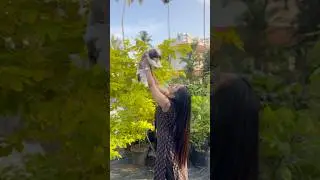 Day out with CoCo🐶🪴🛍️💄 #youtubeshorts #shorts