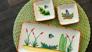Dinnerware Made by HF Coors in Tucson, AZ USA