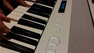 insanus piano din oels