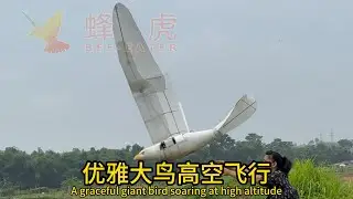 A graceful giant bird soaring at high altitude