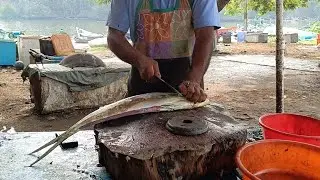 fish cutting | Haris fish world