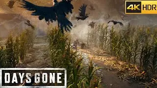 DAYS GONE | PS5 - Realistic Graphics Part 54 4K 60 FPS HDR Gameplay