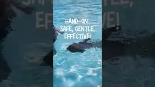 GENTLE, CHILD-CERTERED SURVIVAL SWIM LESSONS