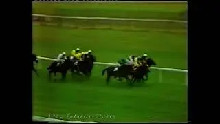 1985 William Hill Futurity Stakes