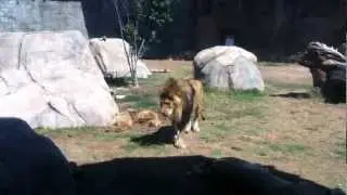 Visit the El Paso Zoo