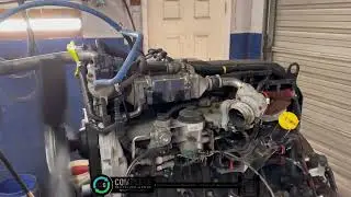 (P-64153) 2009 INTERNATIONAL MAXXFORCE DT ENGINE ASSEMBLY