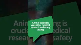 Debating the Ethics of Animal Testing: Should it be Banned?