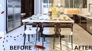How To Keep Roaches Out of Your Home Permanently