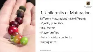 Uniformity