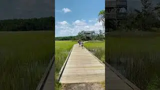 Skidaway Island State Park, Savannah Georgia. #hiking #nature #viral #savannahgeorgia #fyp #youtube