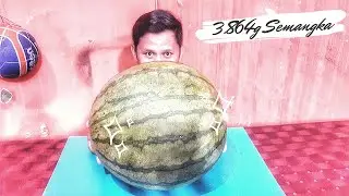 VIRAL!! MENGHABISKAN 3.864g SEMANGKA
