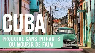 ORGANOPONIE : LA RÉSILIENCE FORCÉE DE CUBA