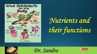 Nutrients and their functions