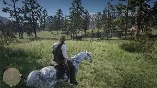 RED DEAD REDEMPTION 2 LIVE | Hunting and Crafting