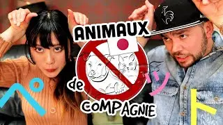 Au Japon, chats et chiens INTERDITS en appartement