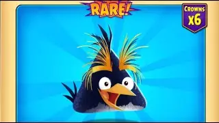 AB POP Angry birds: Transformer Chuck to New Skin Use 10000 Gems 💎