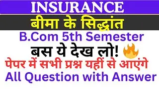 बीमा के सिद्धांत, Insurance Explained | BCom 5th Semester | csjmu