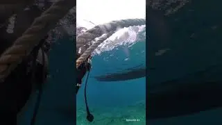 Don't Dive Alone, Just Wait!! 😆