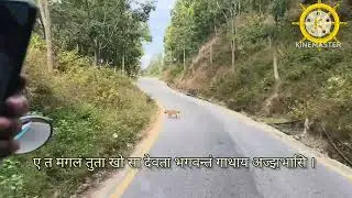 Mangal sutra