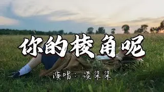 谈柒柒 - 你的棱角呢『我想找回曾经的自己 那些快乐早消散风里,缘聚缘散人去楼空无人再提 只剩念旧的人还在追忆。』『动态歌词MV』